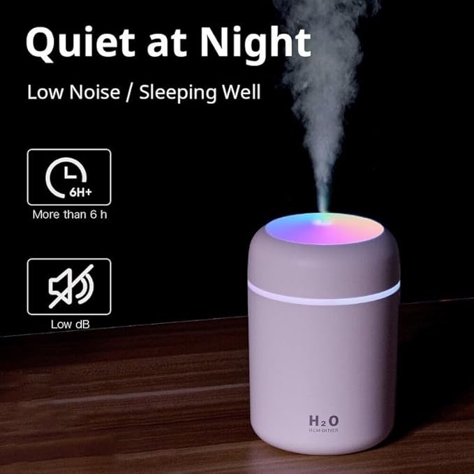 H2O Colorful Cool Mini Humidifier